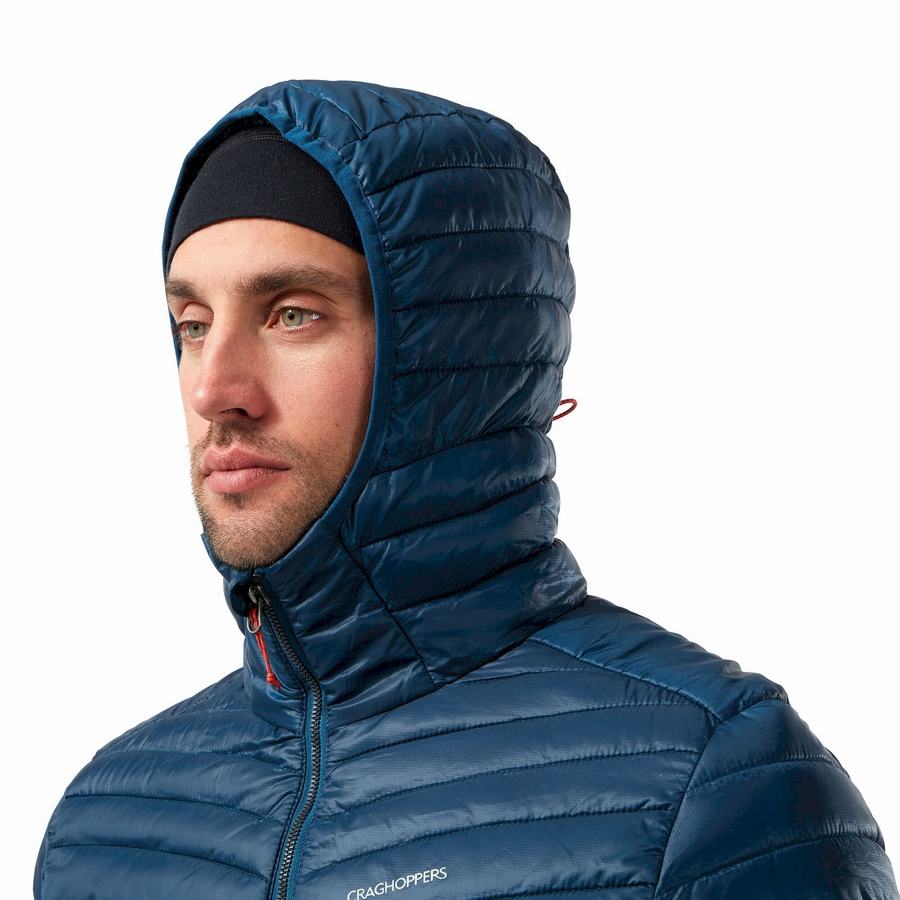 Navy Blue Craghoppers Insulated ExpoLite Hooded Men's Jackets | RTM3762XZ