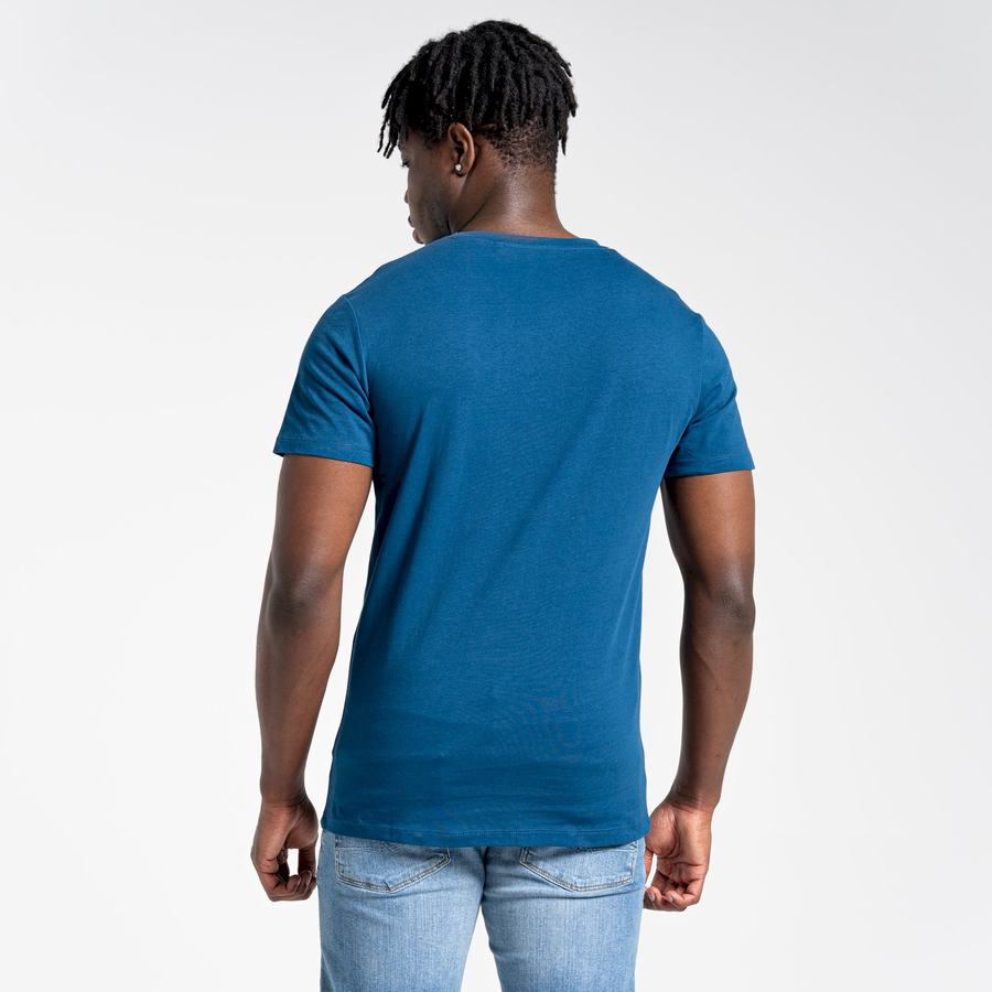 Navy Blue Craghoppers Lugo Short Sleeved Men's T-Shirts | AGY7499KD