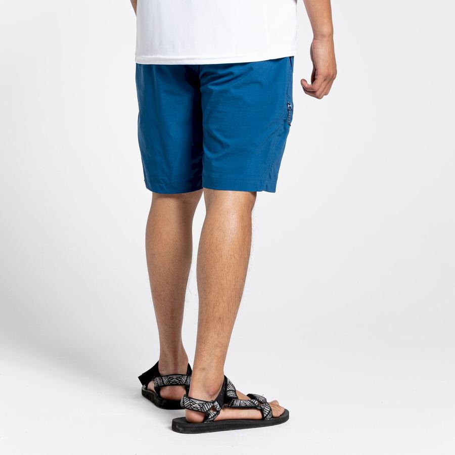 Navy Blue Craghoppers NosiLife Pro Active Men's Shorts | KYF8235EU