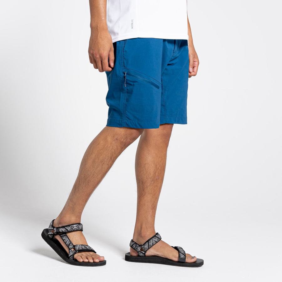 Navy Blue Craghoppers NosiLife Pro Active Men's Shorts | KYF8235EU