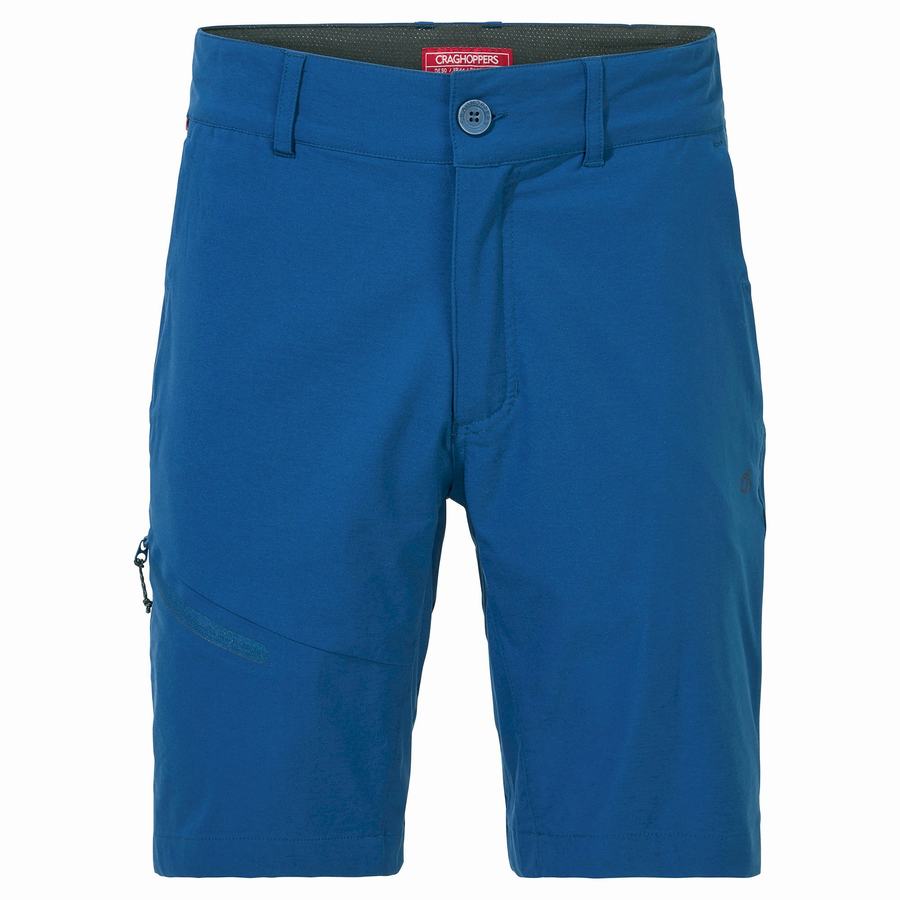 Navy Blue Craghoppers NosiLife Pro Active Men's Shorts | KYF8235EU