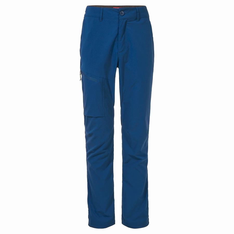 Navy Blue Craghoppers NosiLife Pro Active Men's Trousers | ZMK9472KN