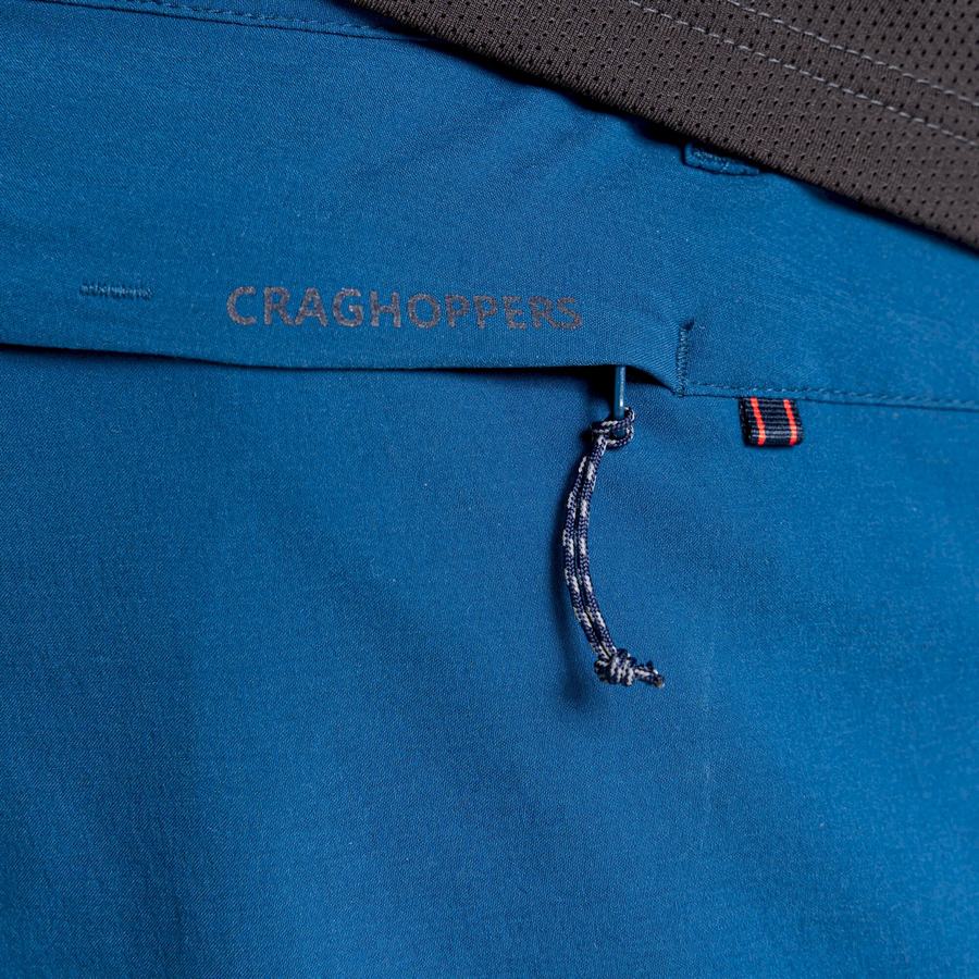 Navy Blue Craghoppers NosiLife Pro Active Men's Trousers | ZMK9472KN