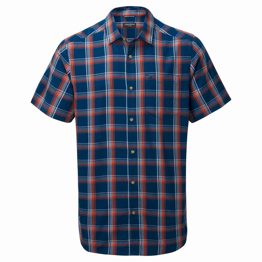 Navy Blue Craghoppers Rafie Short Sleeved Check Men's Shirts | ZTA9147SP