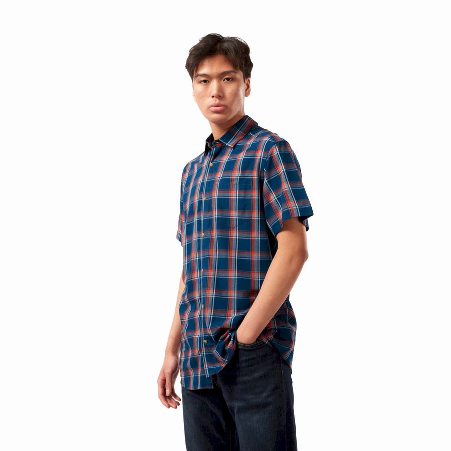 Navy Blue Craghoppers Rafie Short Sleeved Check Men's Shirts | ZTA9147SP