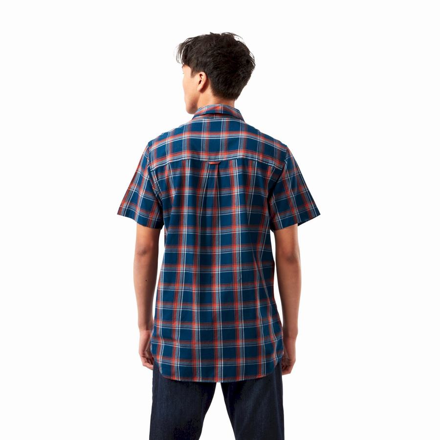 Navy Blue Craghoppers Rafie Short Sleeved Check Men's Shirts | ZTA9147SP