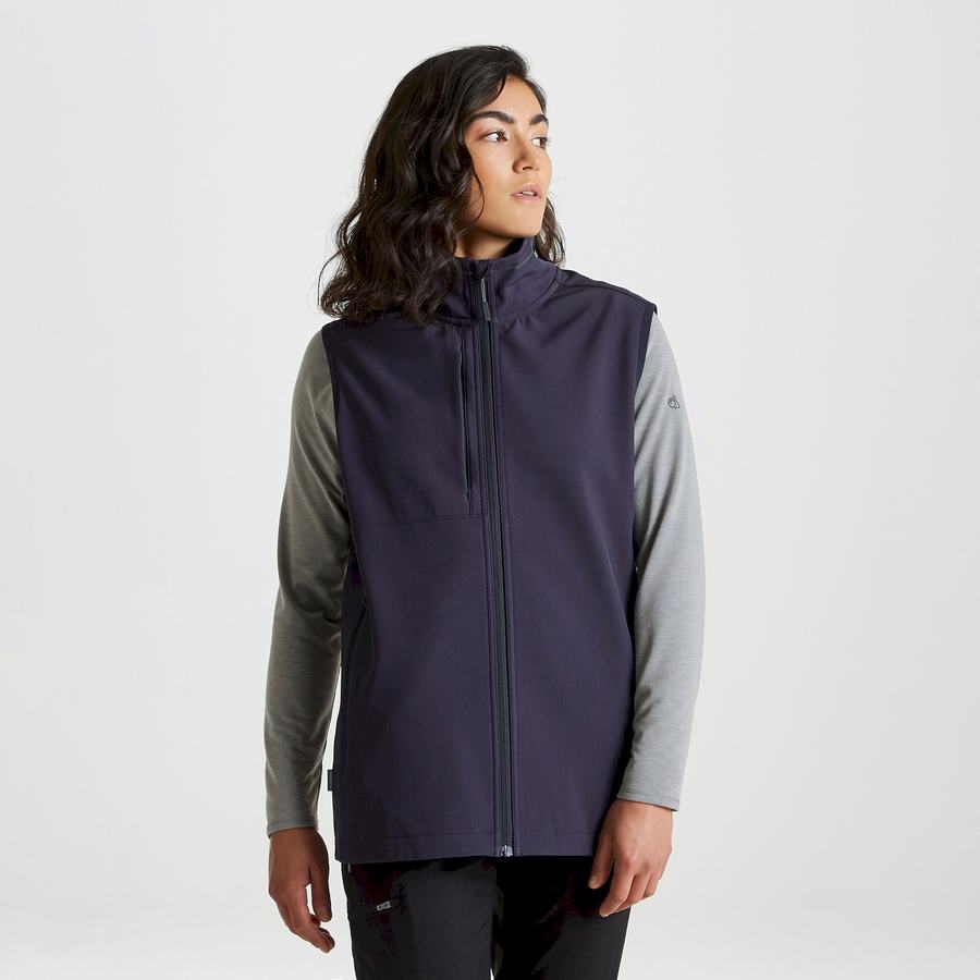 Navy Craghoppers Expert Basecamp Softshell Vest Men's Gilets | BON2446BN