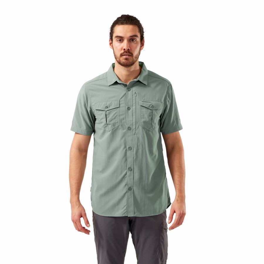 Olive Craghoppers NosiLife Adventure II Short Sleeved Men's Shirts | KST6522QQ