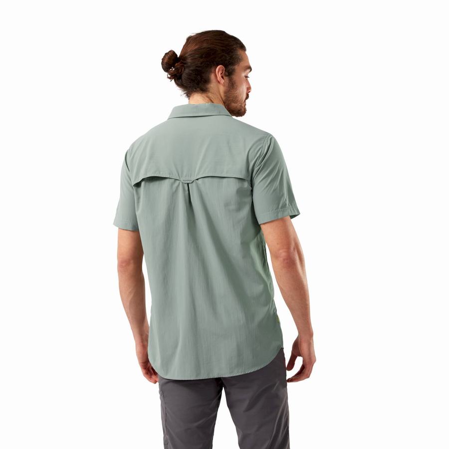 Olive Craghoppers NosiLife Adventure II Short Sleeved Men's Shirts | KST6522QQ