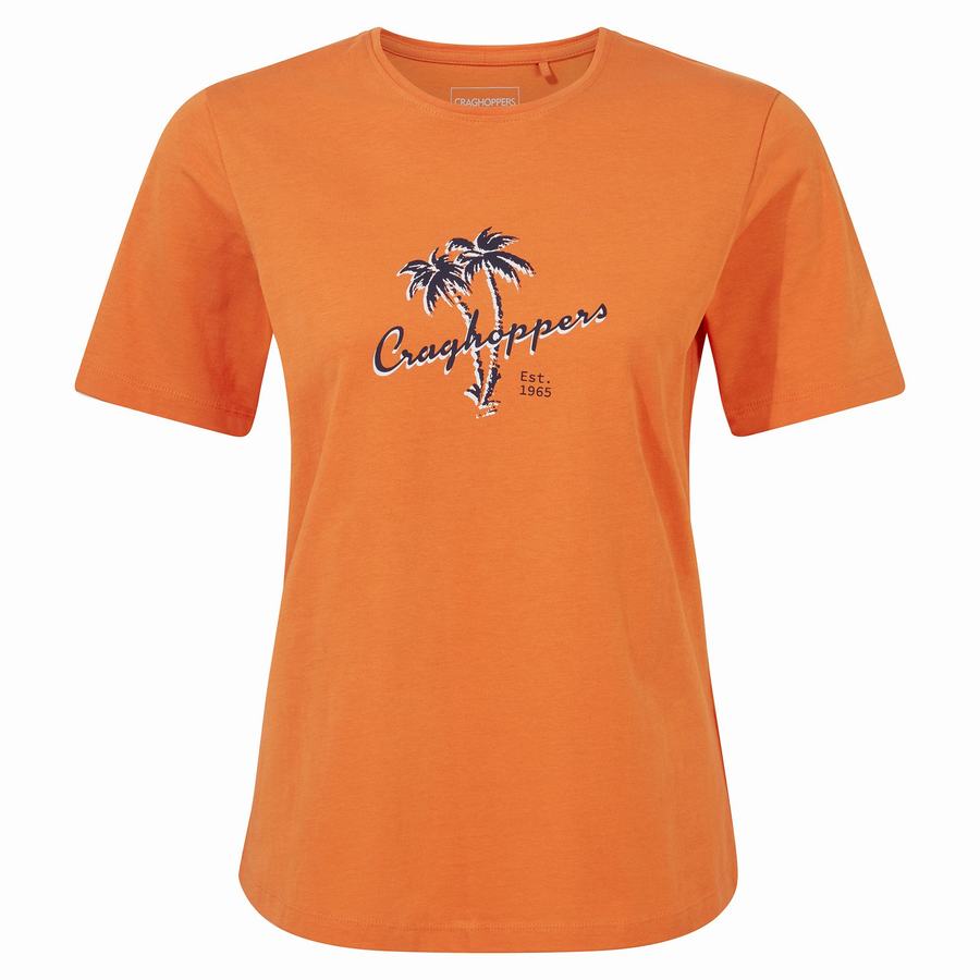 Orange Craghoppers Ally Short Sleeved Women's T-Shirts | QMD8551LU