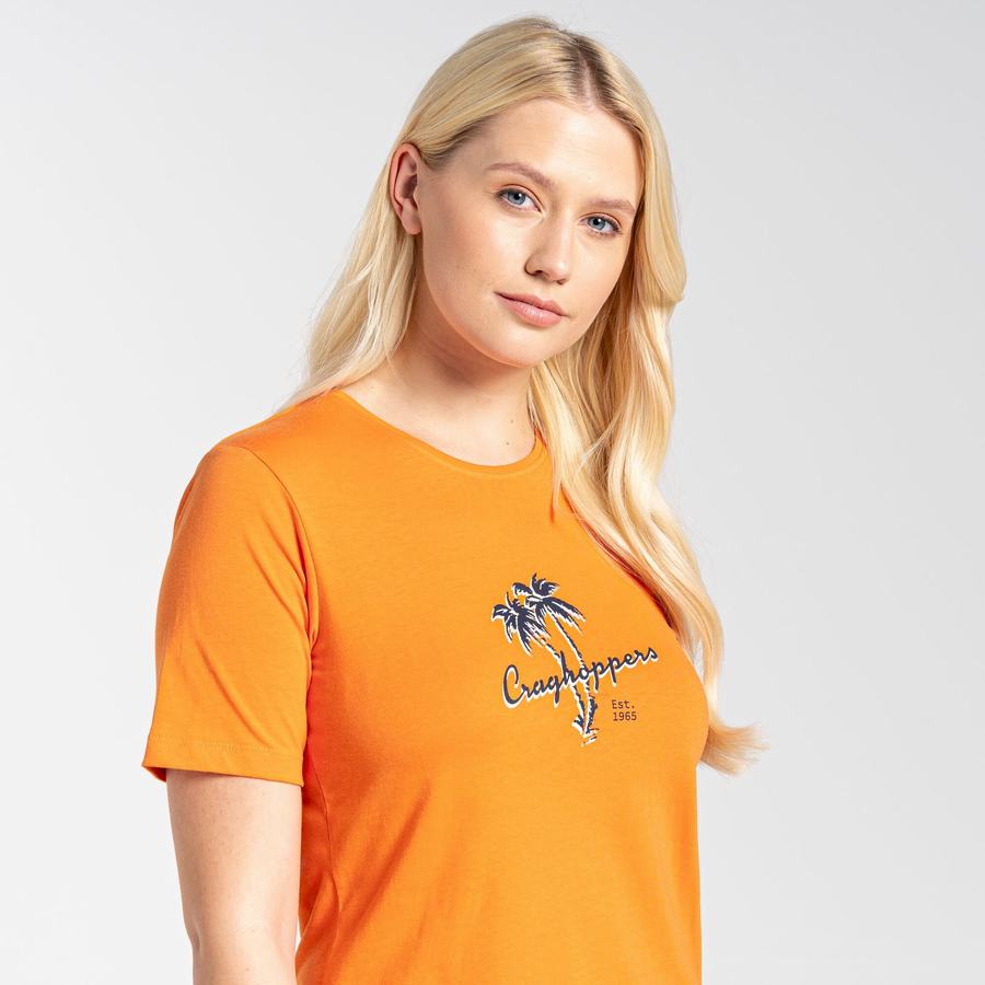 Orange Craghoppers Ally Short Sleeved Women's T-Shirts | QMD8551LU