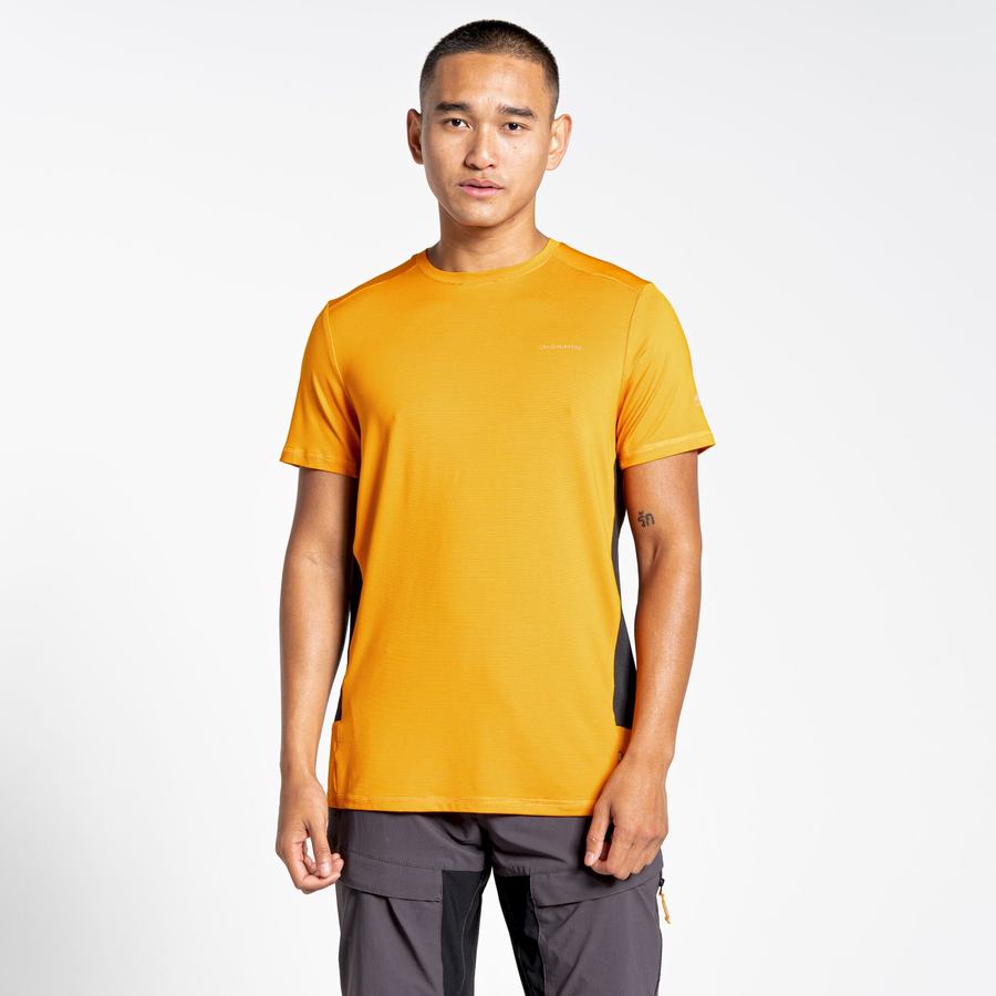 Orange Craghoppers Atmos Short Sleeved Men's T-Shirts | YBF907RT