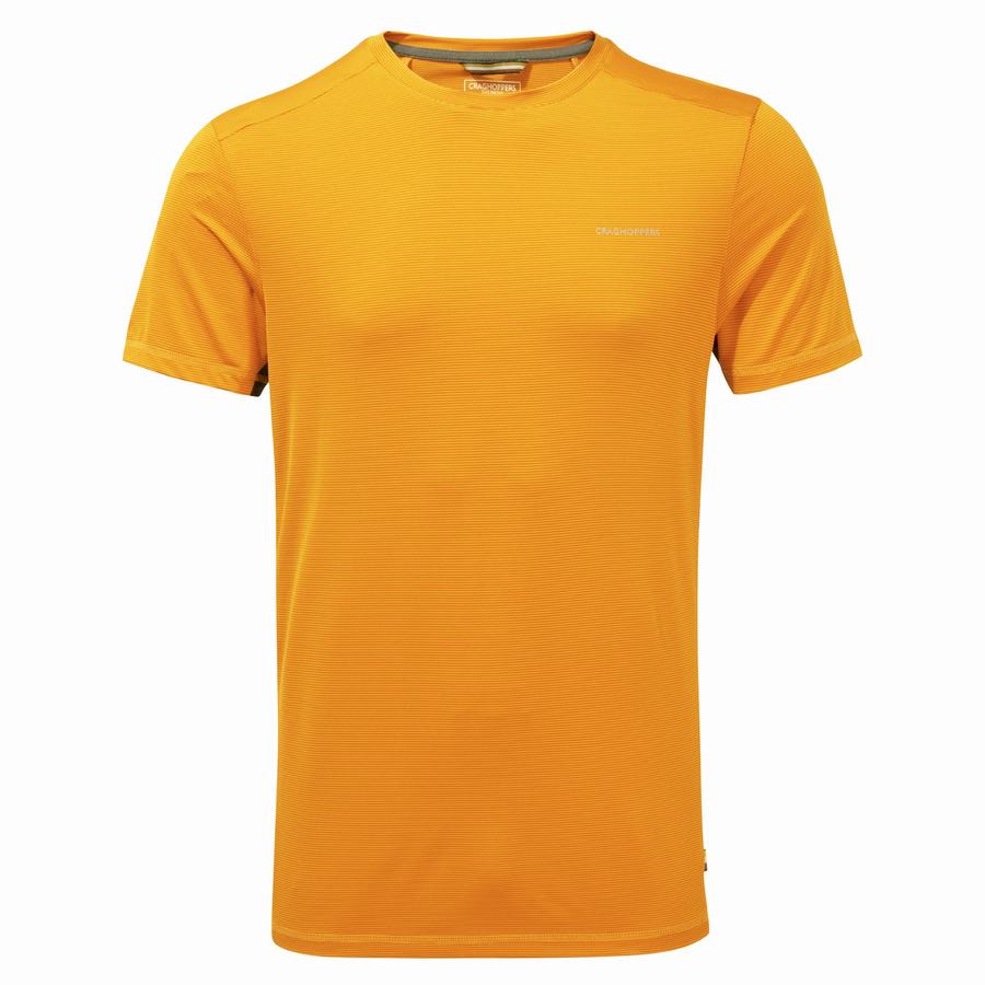 Orange Craghoppers Atmos Short Sleeved Men's T-Shirts | YBF907RT