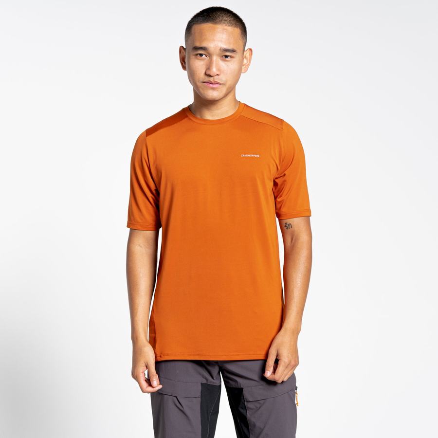 Orange Craghoppers Belardo Short Sleeved Men's T-Shirts | SMG4270IJ