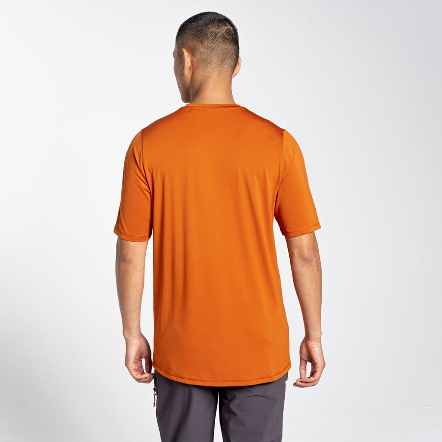 Orange Craghoppers Belardo Short Sleeved Men's T-Shirts | SMG4270IJ