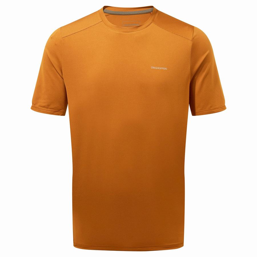 Orange Craghoppers Belardo Short Sleeved Men\'s T-Shirts | SMG4270IJ