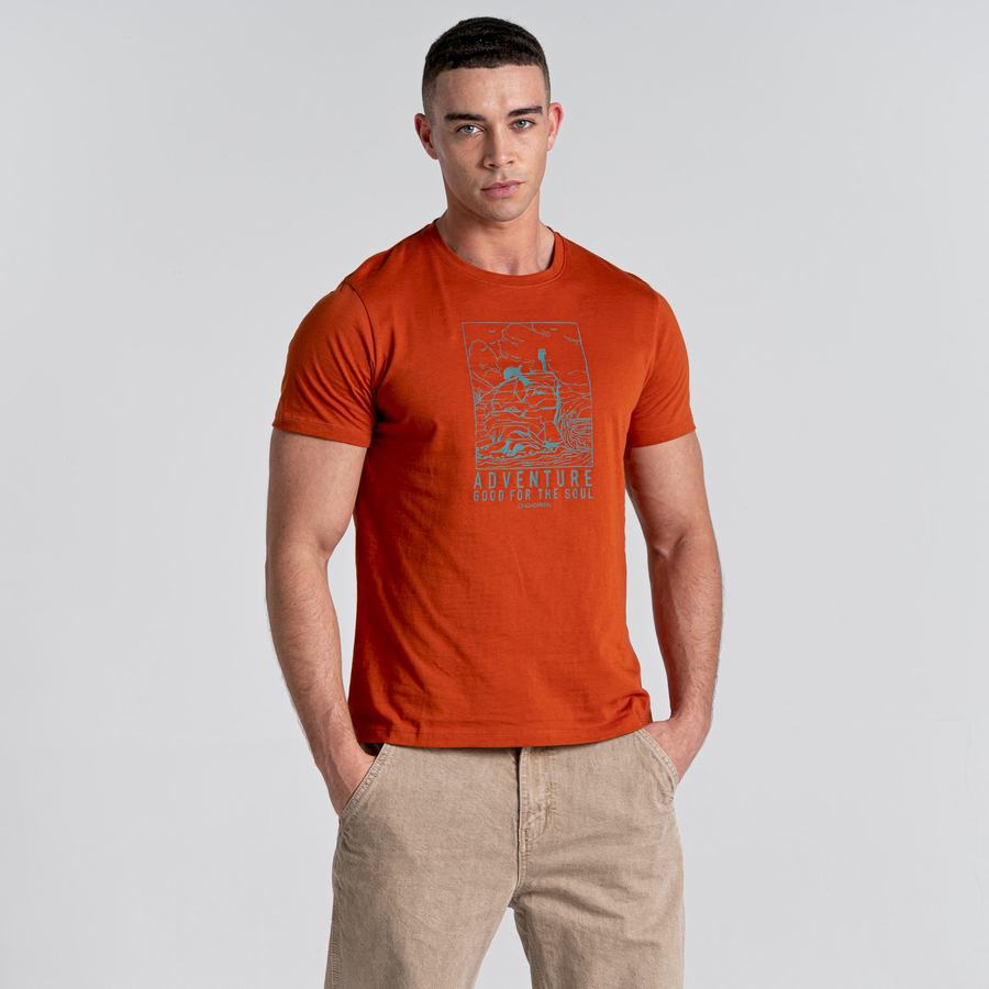 Orange Craghoppers Caldo Short Sleeved Men's T-Shirts | LFD2993OF