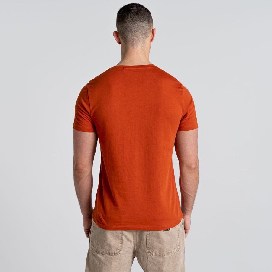 Orange Craghoppers Caldo Short Sleeved Men's T-Shirts | LFD2993OF