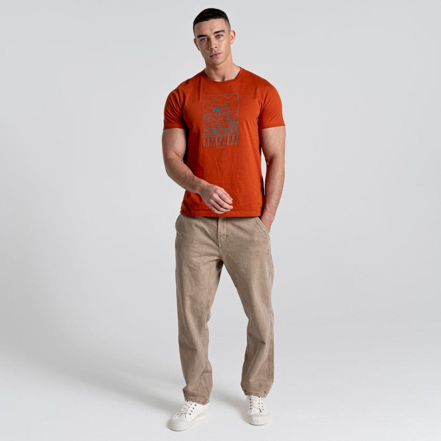 Orange Craghoppers Caldo Short Sleeved Men's T-Shirts | LFD2993OF