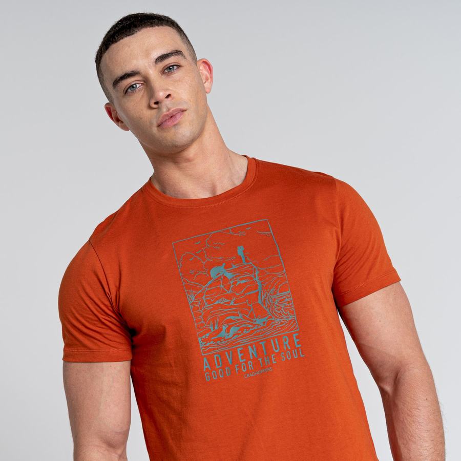 Orange Craghoppers Caldo Short Sleeved Men's T-Shirts | LFD2993OF