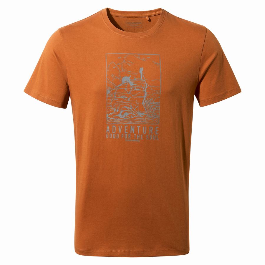 Orange Craghoppers Caldo Short Sleeved Men's T-Shirts | LFD2993OF