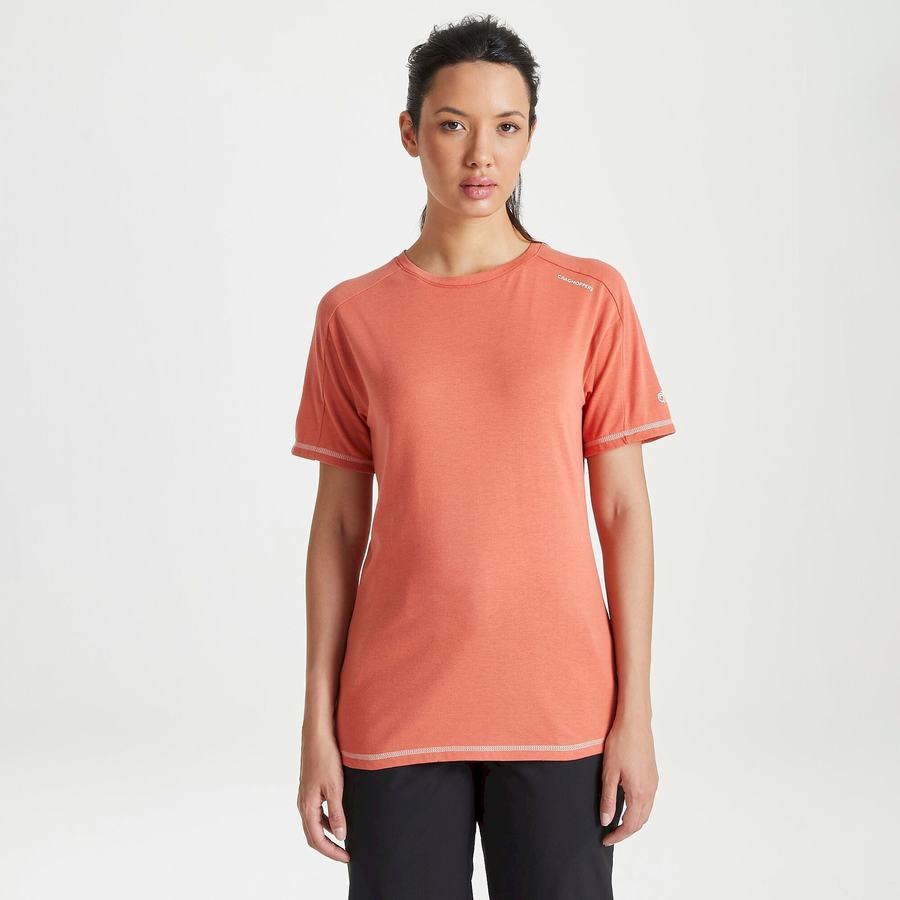 Orange Craghoppers Dynamic Short Sleeved Warm Ginger Women's T-Shirts | JRE9611MA