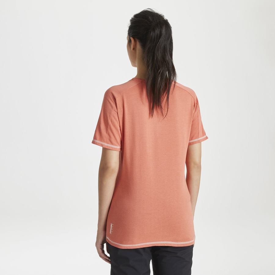 Orange Craghoppers Dynamic Short Sleeved Warm Ginger Women's T-Shirts | JRE9611MA