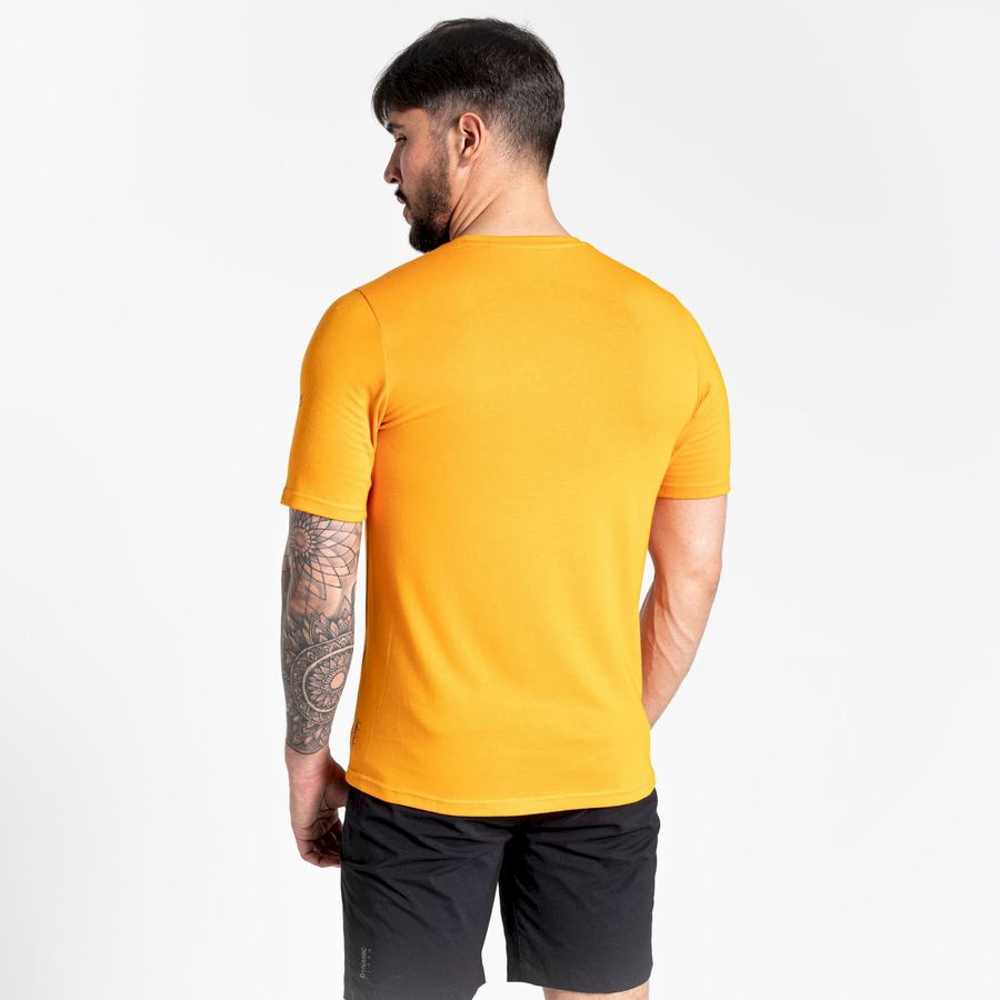 Orange Craghoppers Dynamic Short Sleeved Men's T-Shirts | UDS6638VF