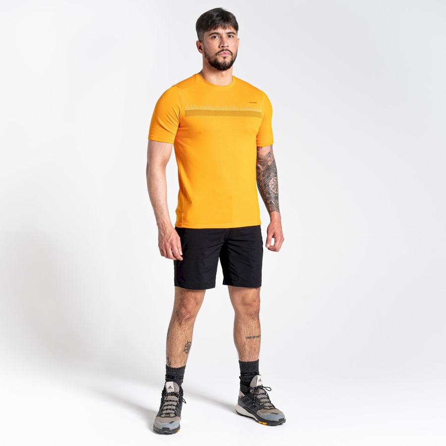 Orange Craghoppers Dynamic Short Sleeved Men's T-Shirts | UDS6638VF