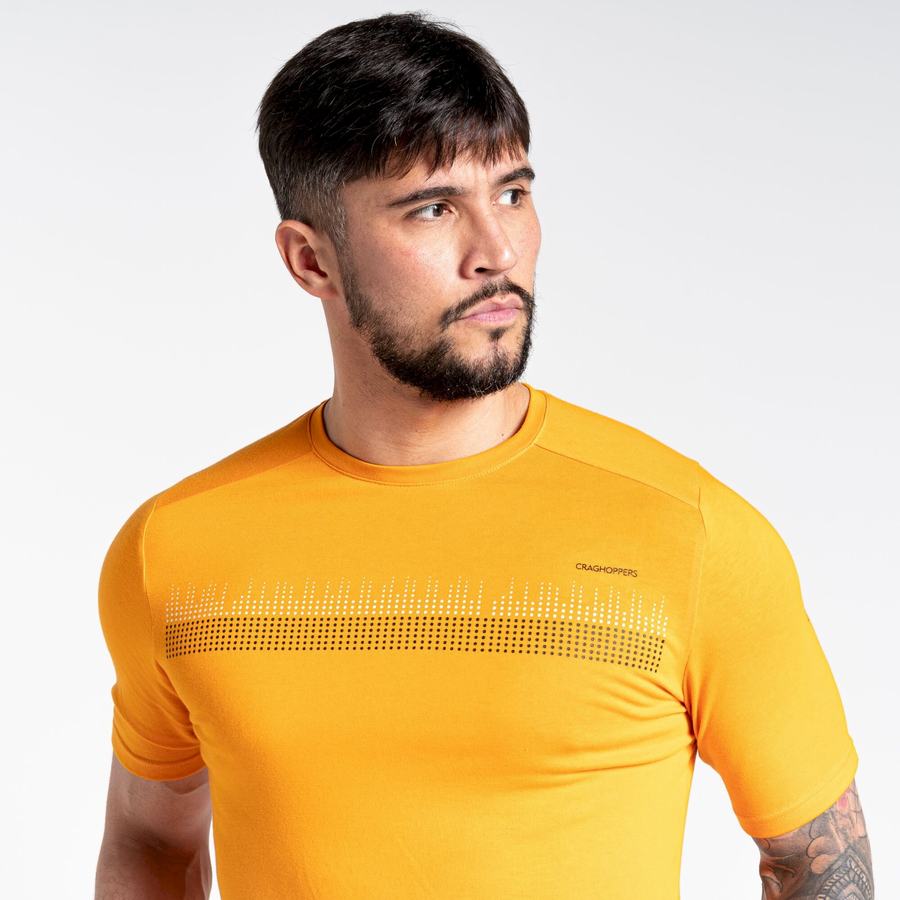 Orange Craghoppers Dynamic Short Sleeved Men's T-Shirts | UDS6638VF