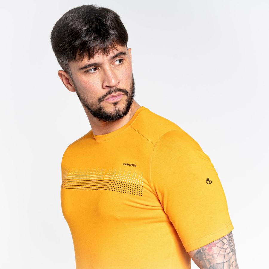 Orange Craghoppers Dynamic Short Sleeved Men's T-Shirts | UDS6638VF