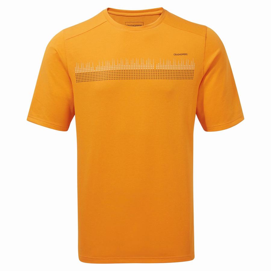 Orange Craghoppers Dynamic Short Sleeved Men's T-Shirts | UDS6638VF