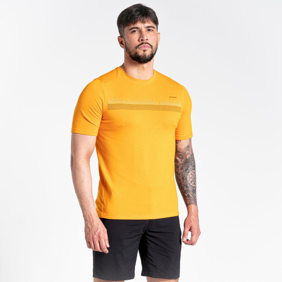 Orange Craghoppers Dynamic Short Sleeved Men's T-Shirts | UDS6638VF