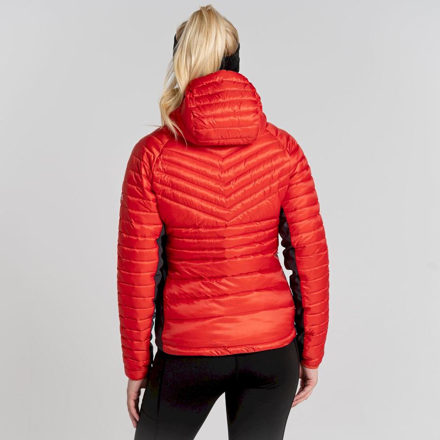 Orange Craghoppers ExpoLite Insulated Hooded Women's Jackets | BPQ7458SQ