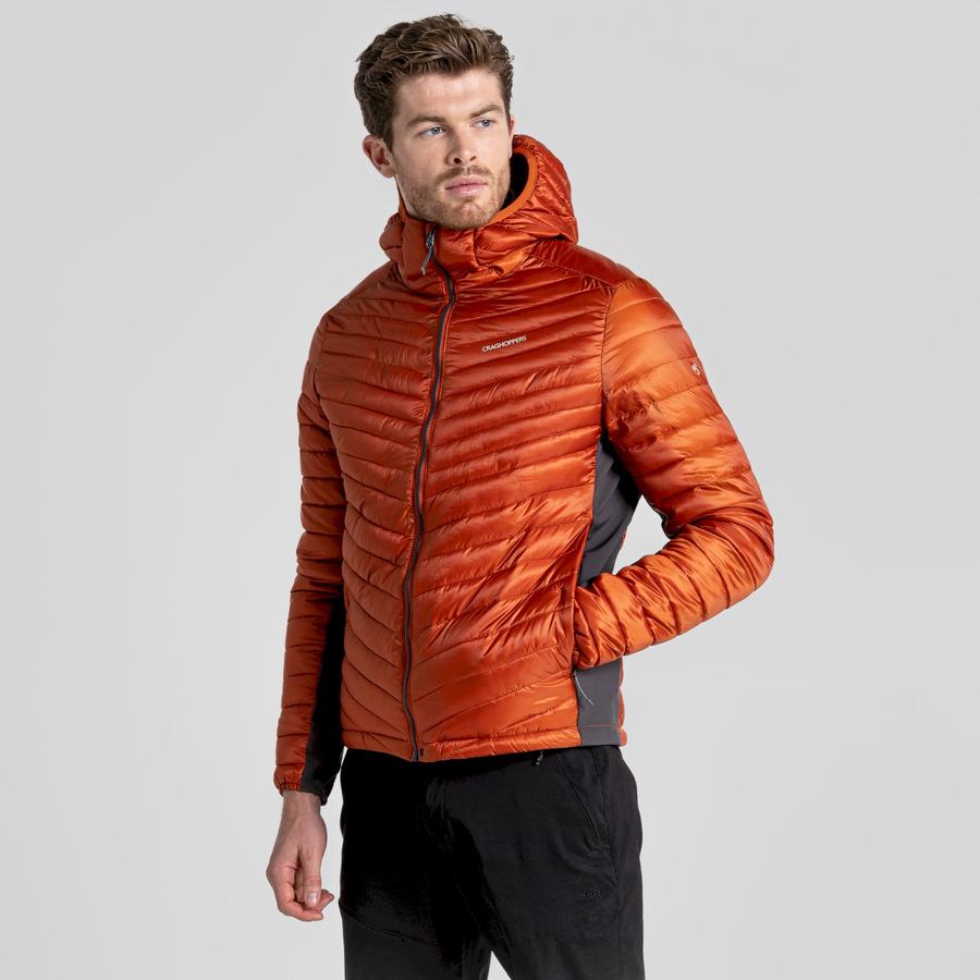 Orange Craghoppers ExpoLite Insulated Hooded Men's Jackets | PUG5072DY