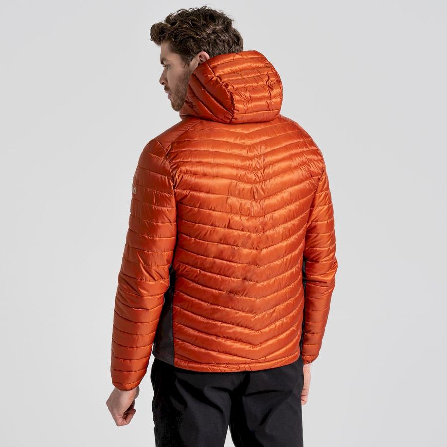 Orange Craghoppers ExpoLite Insulated Hooded Men's Jackets | PUG5072DY