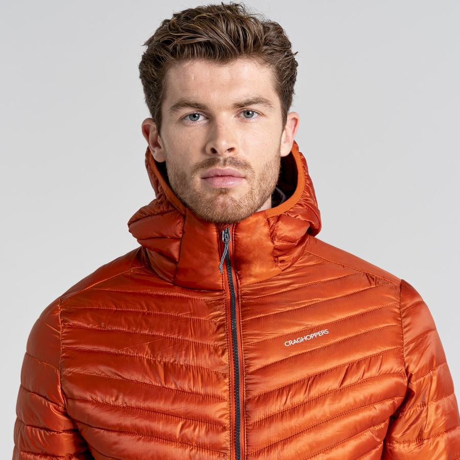 Orange Craghoppers ExpoLite Insulated Hooded Men's Jackets | PUG5072DY