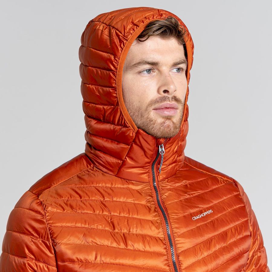 Orange Craghoppers ExpoLite Insulated Hooded Men's Jackets | PUG5072DY