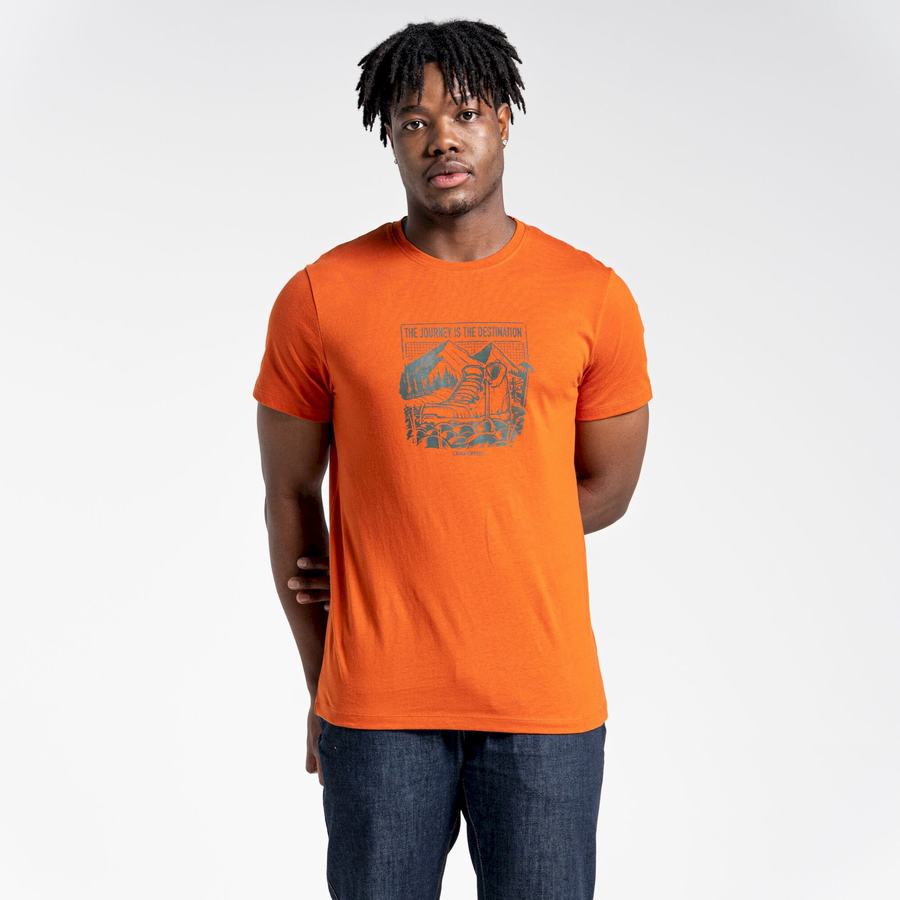 Orange Craghoppers Lugo Short Sleeved Men's T-Shirts | KTI4922YK