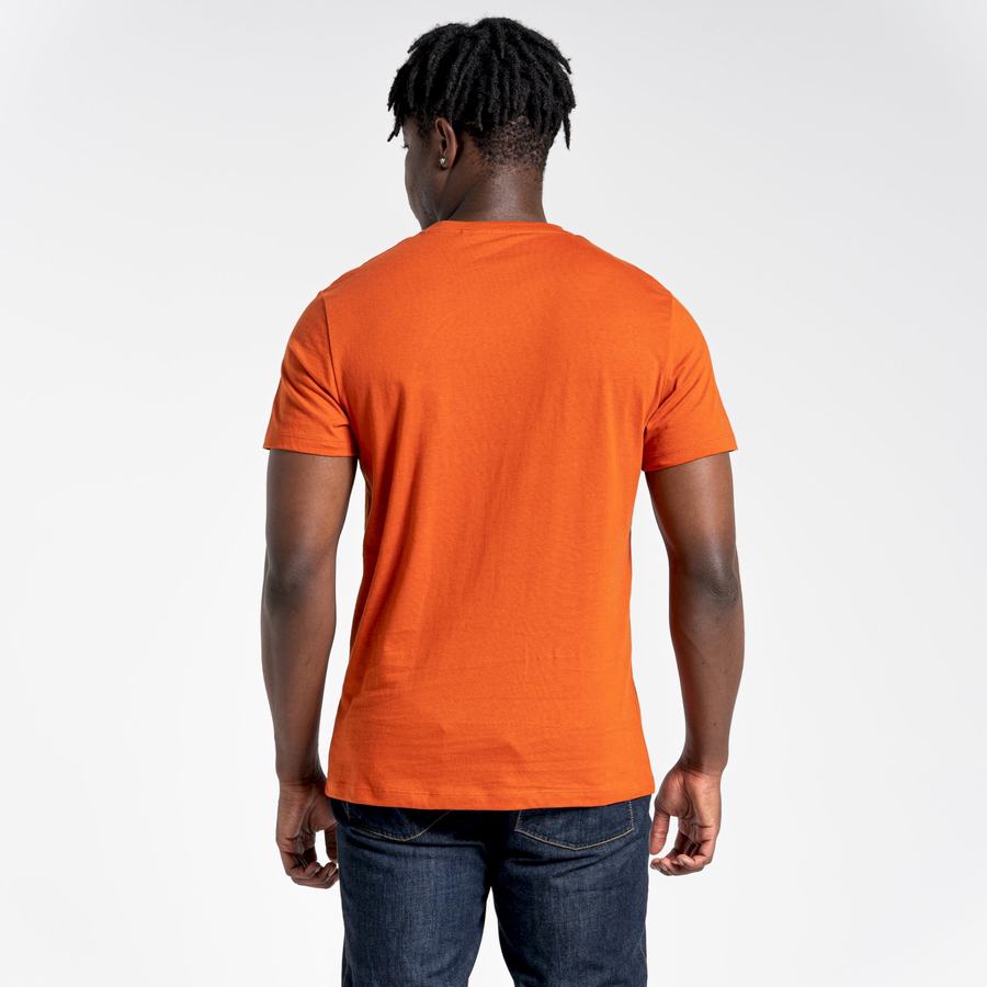 Orange Craghoppers Lugo Short Sleeved Men's T-Shirts | KTI4922YK