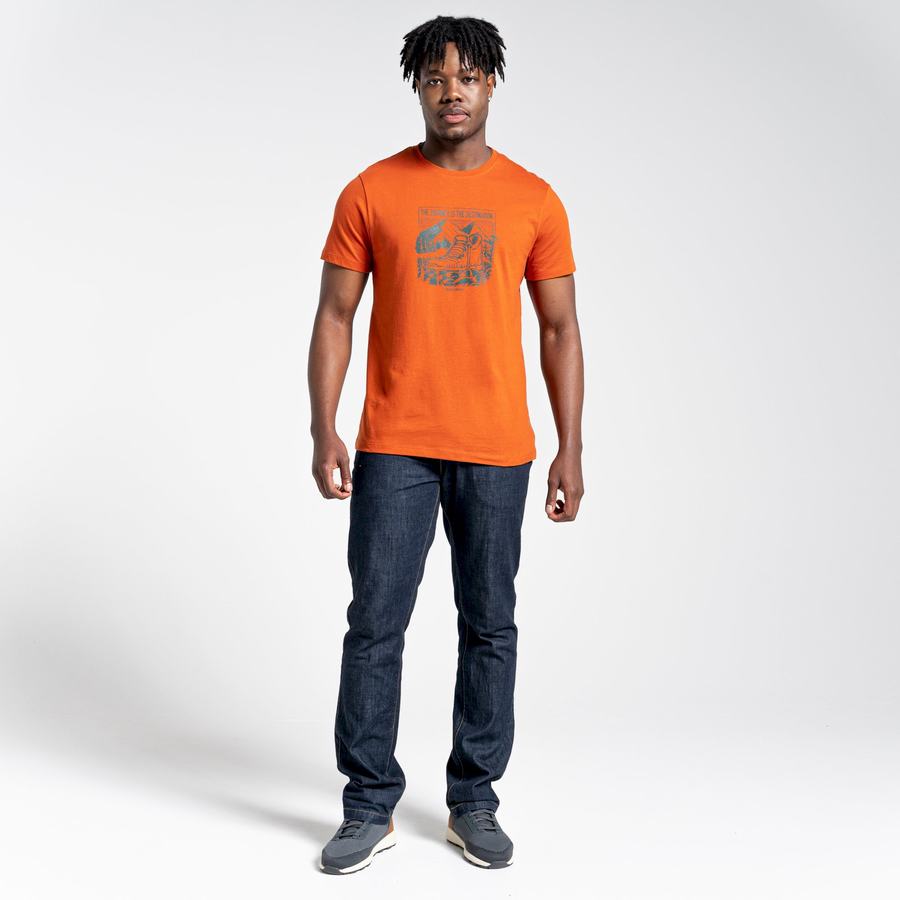 Orange Craghoppers Lugo Short Sleeved Men's T-Shirts | KTI4922YK