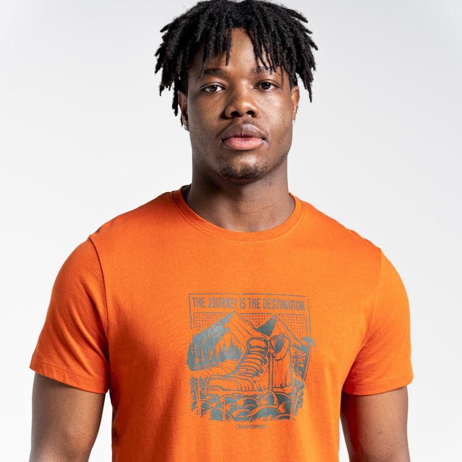 Orange Craghoppers Lugo Short Sleeved Men's T-Shirts | KTI4922YK