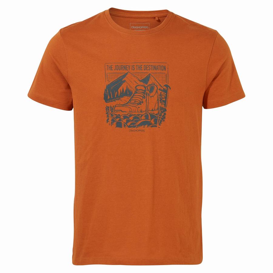 Orange Craghoppers Lugo Short Sleeved Men's T-Shirts | KTI4922YK