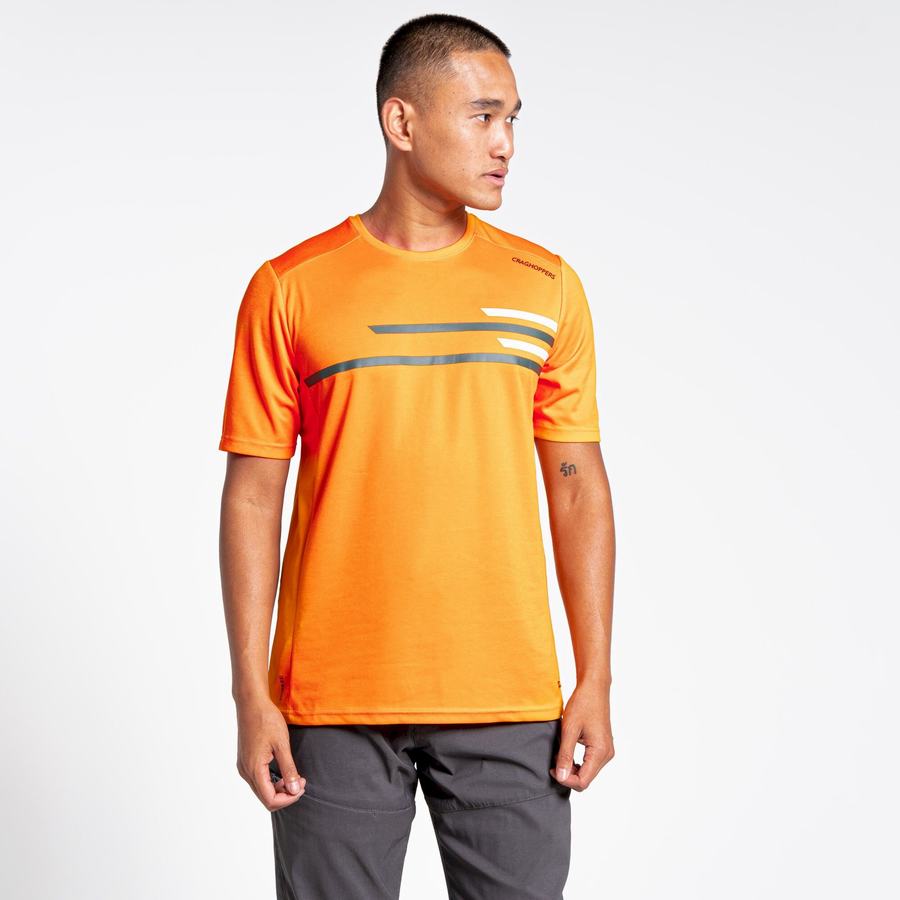 Orange Craghoppers NosiLife Pro Active Short Sleeved Men's T-Shirts | SKP5691TZ