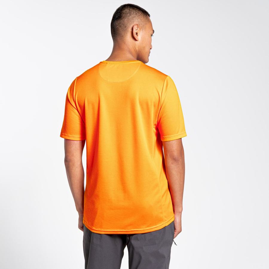 Orange Craghoppers NosiLife Pro Active Short Sleeved Men's T-Shirts | SKP5691TZ