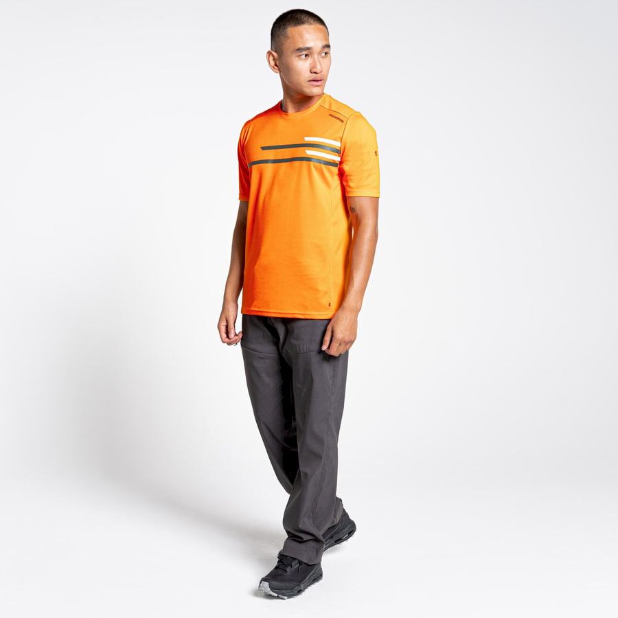 Orange Craghoppers NosiLife Pro Active Short Sleeved Men's T-Shirts | SKP5691TZ