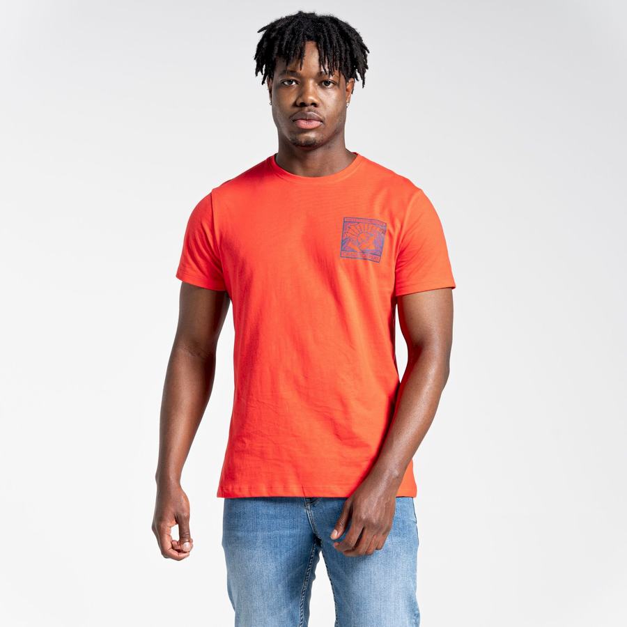 Orange Red Craghoppers Lugo Short Sleeved Men's T-Shirts | TWB8837YC