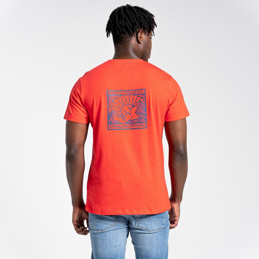 Orange Red Craghoppers Lugo Short Sleeved Men's T-Shirts | TWB8837YC