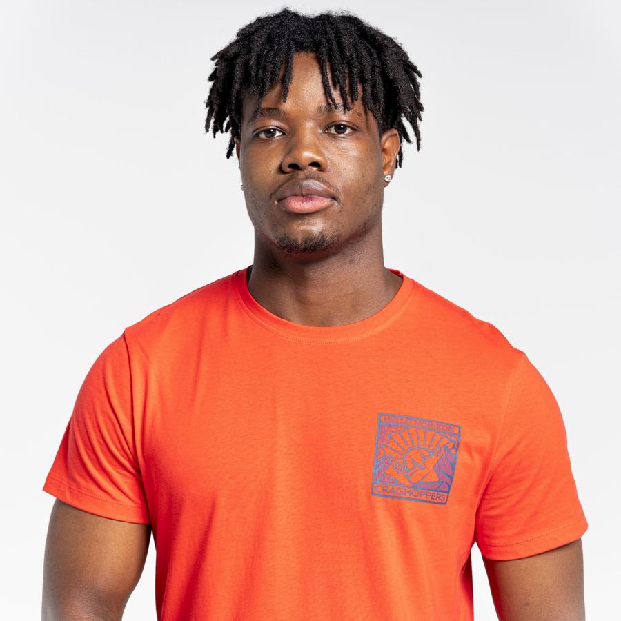 Orange Red Craghoppers Lugo Short Sleeved Men's T-Shirts | TWB8837YC