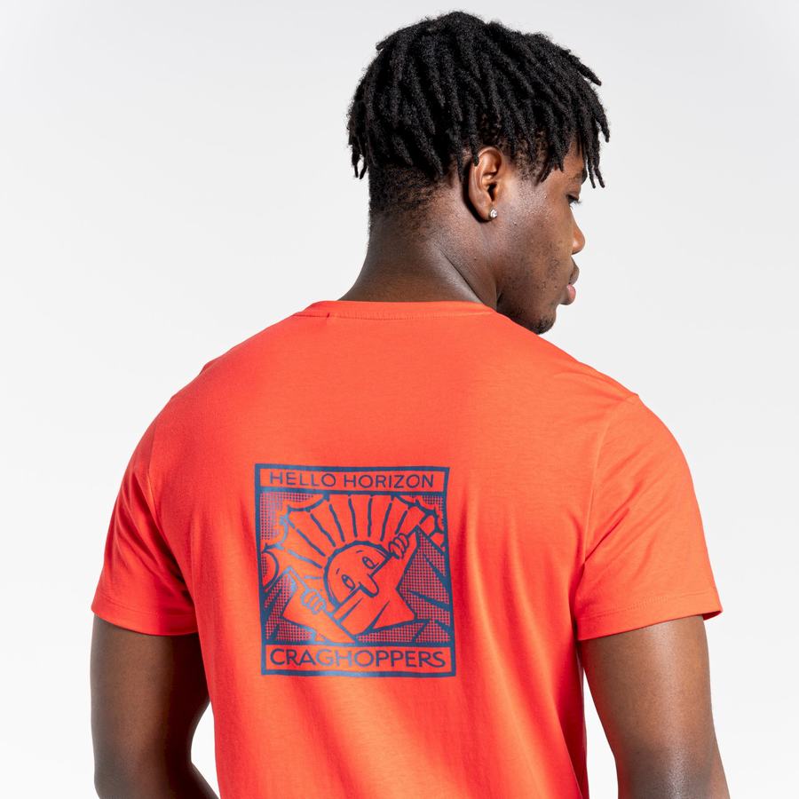 Orange Red Craghoppers Lugo Short Sleeved Men's T-Shirts | TWB8837YC